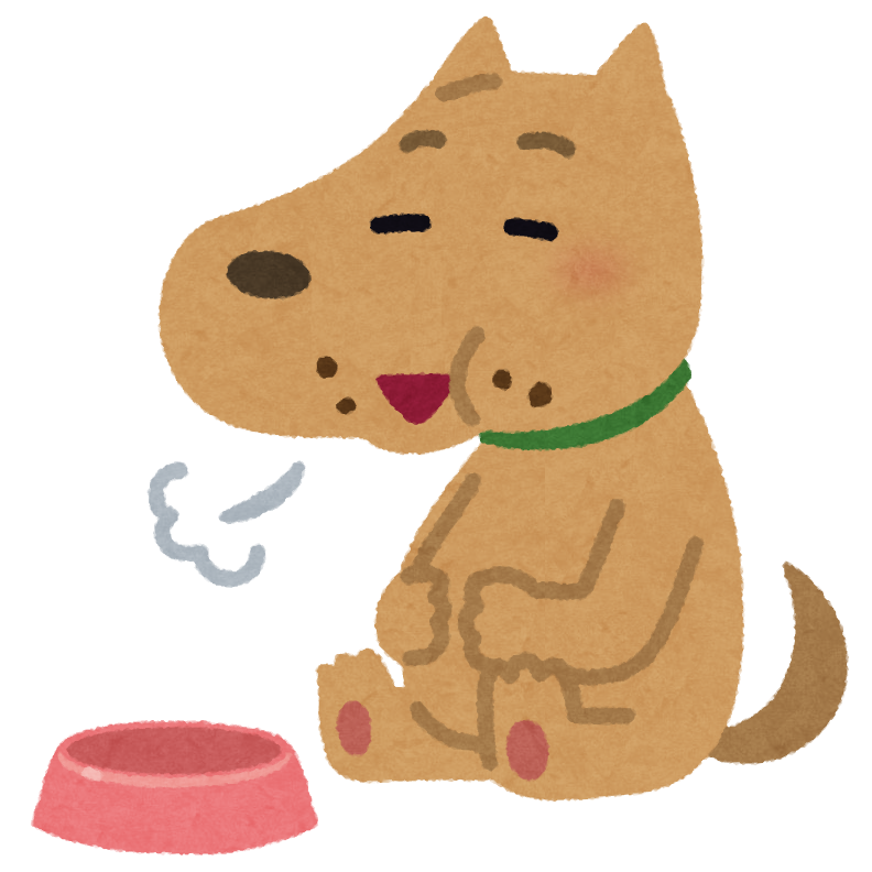 太っていると寿命が短くなる 驚きの調査結果について 肥満対策 ブログ かみよし動物病院 神戸市垂水区 犬 猫 ペットホテル 日曜日も診療